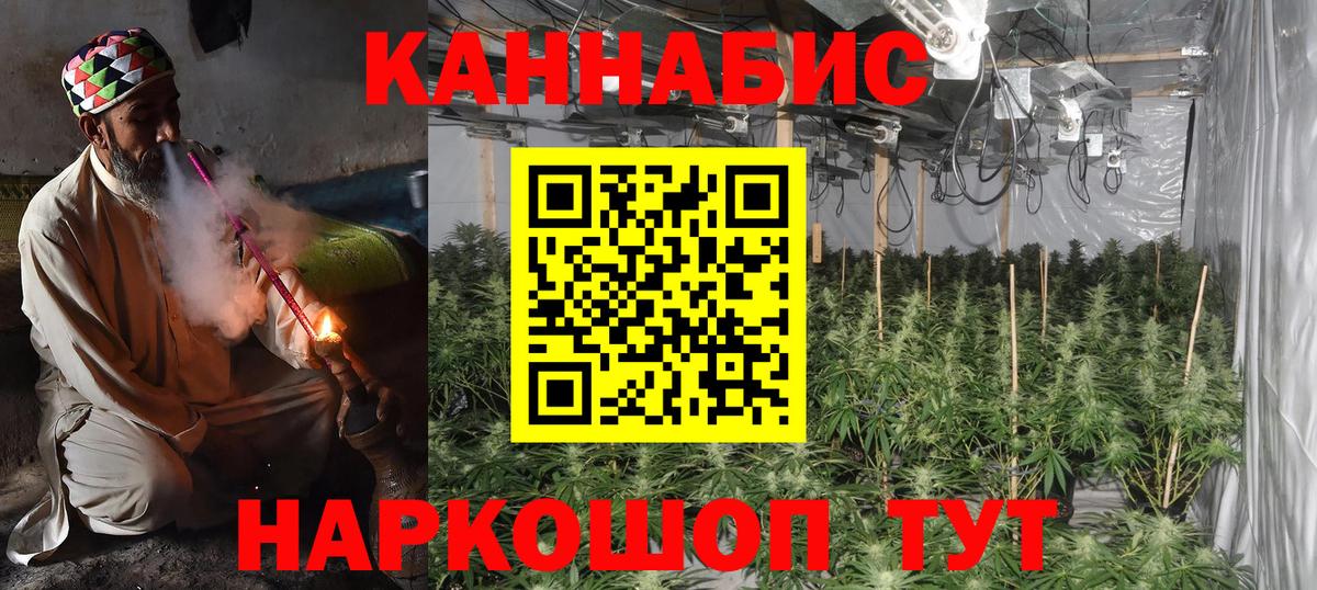 Каннабис Bruce Banner  Бошки Шишки MAZAR  Тара  Вход с VPN  Марихуана планчик 