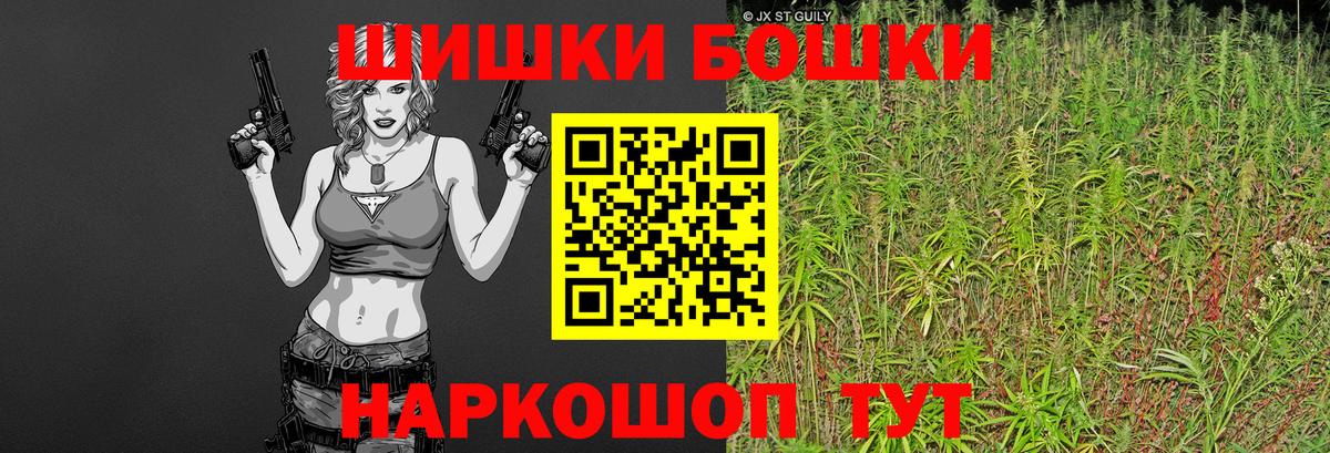 Каннабис планчик Тара